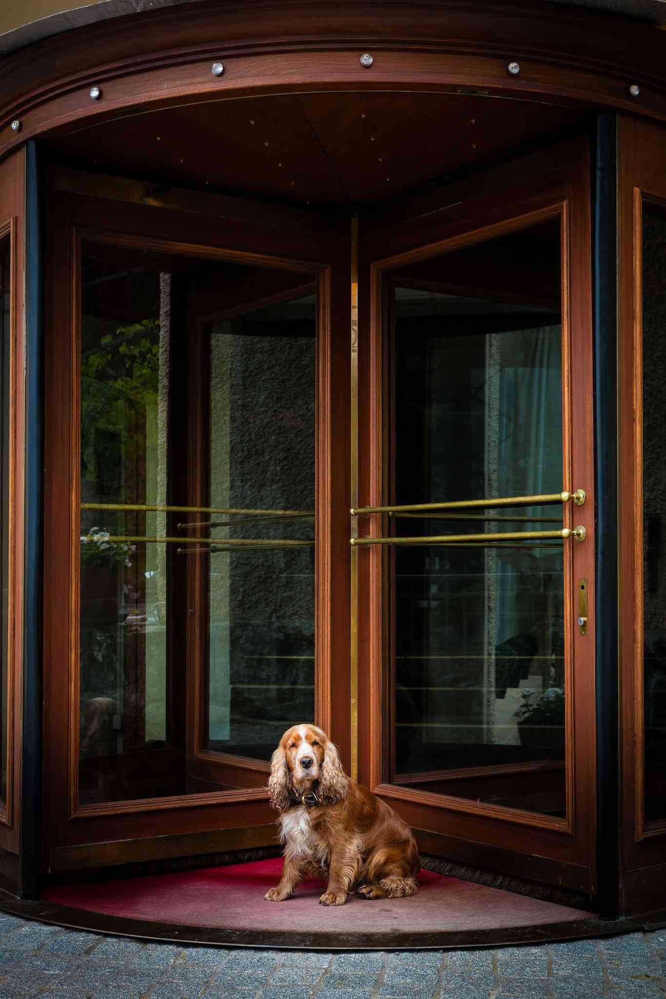 Hotel Regina a Wengen, CH