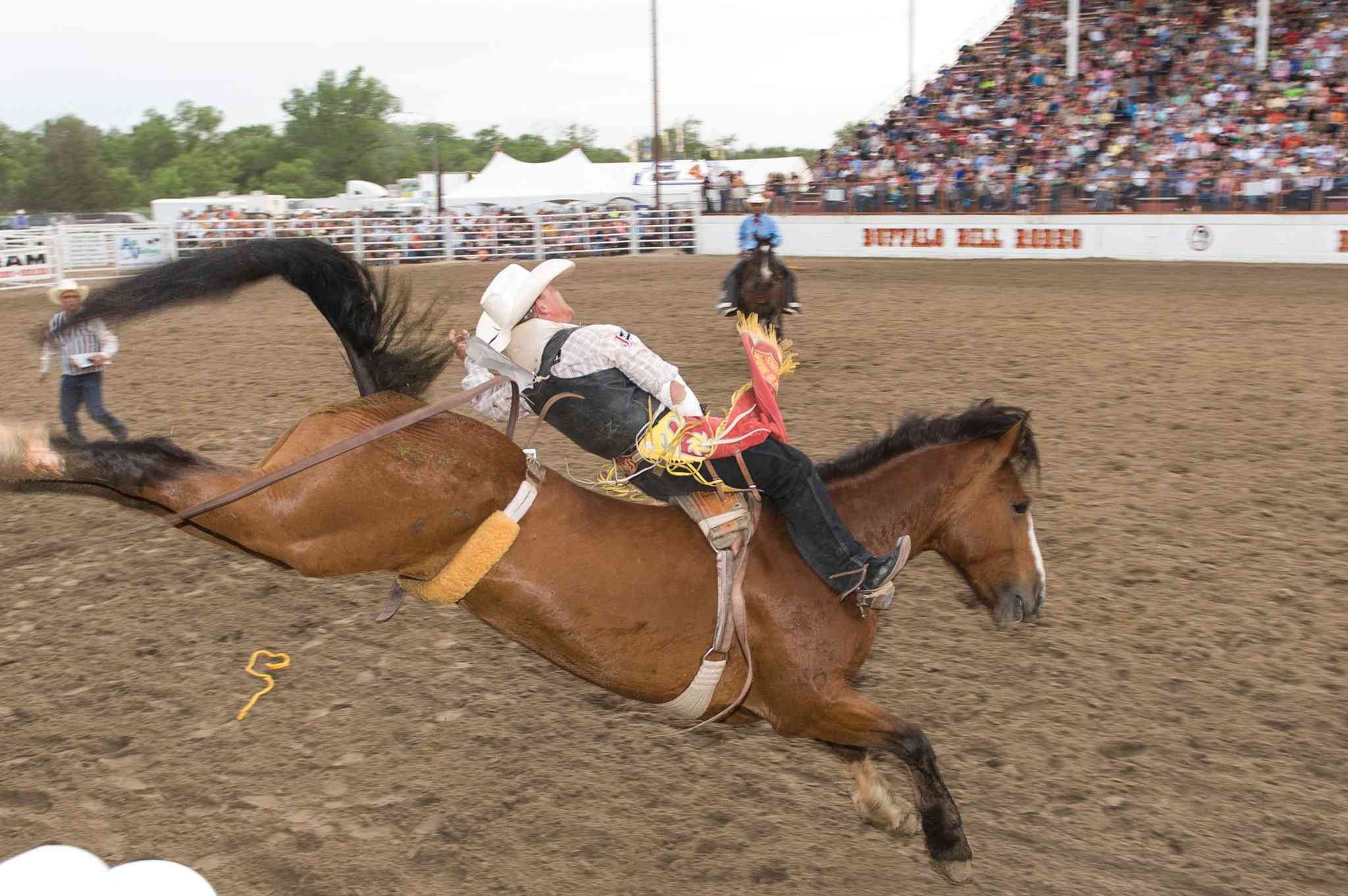 Holiday Inn Express Hotel & Suites North Platte a North Platte, NE