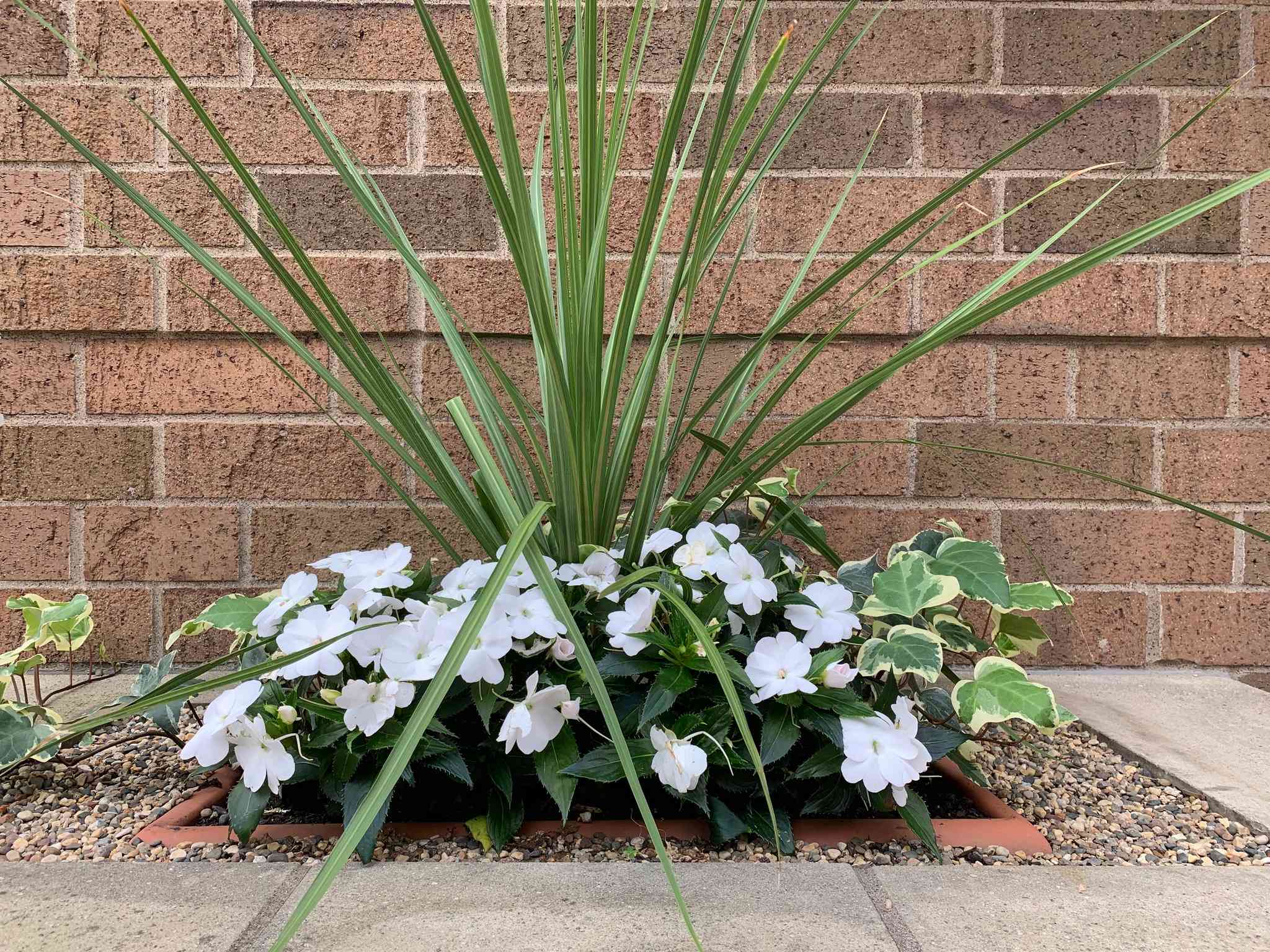 明尼阿波利斯, MN 的 Holiday Inn Express & Suites Minneapolis-Dwtn (Conv Ctr)