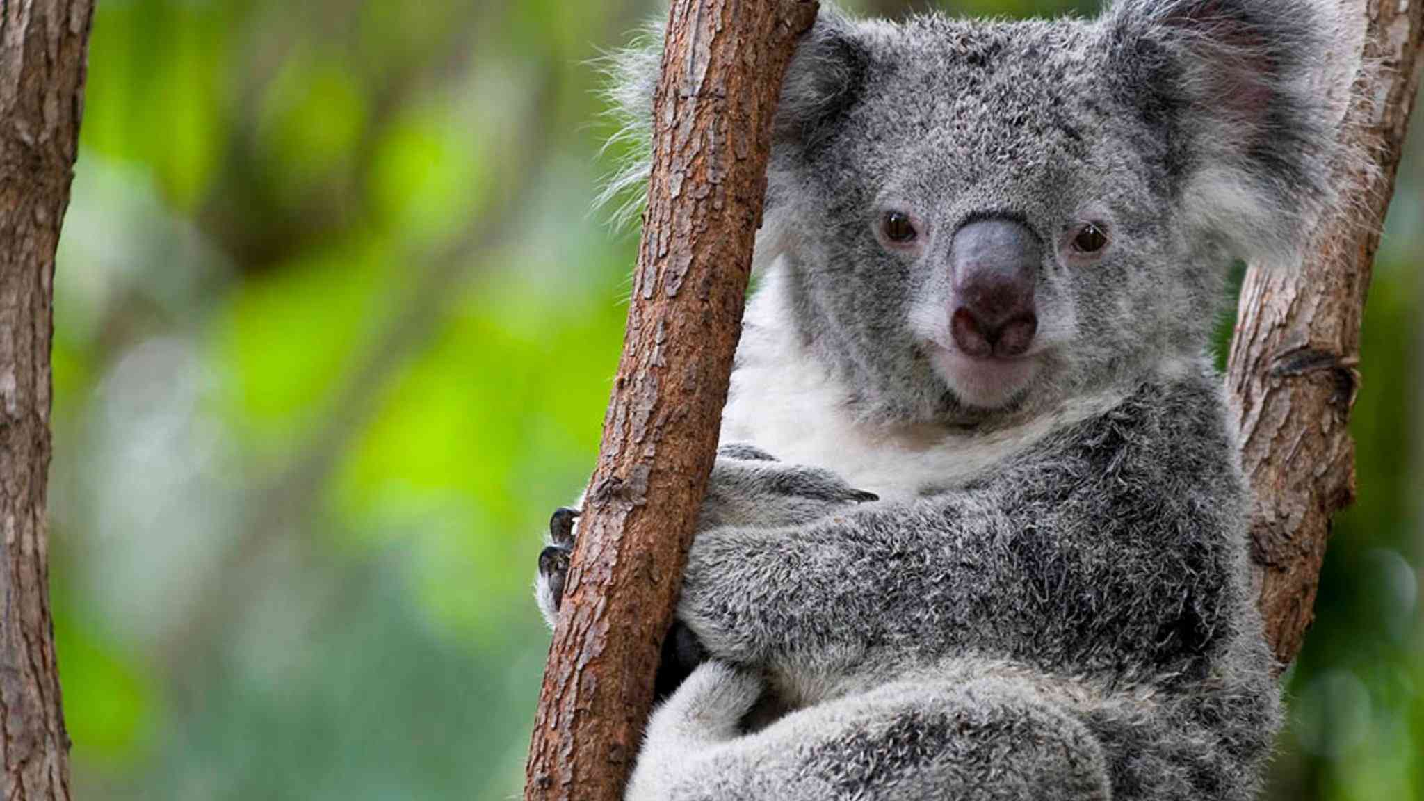 Holiday Inn Sydney St Marys, sydney, AU