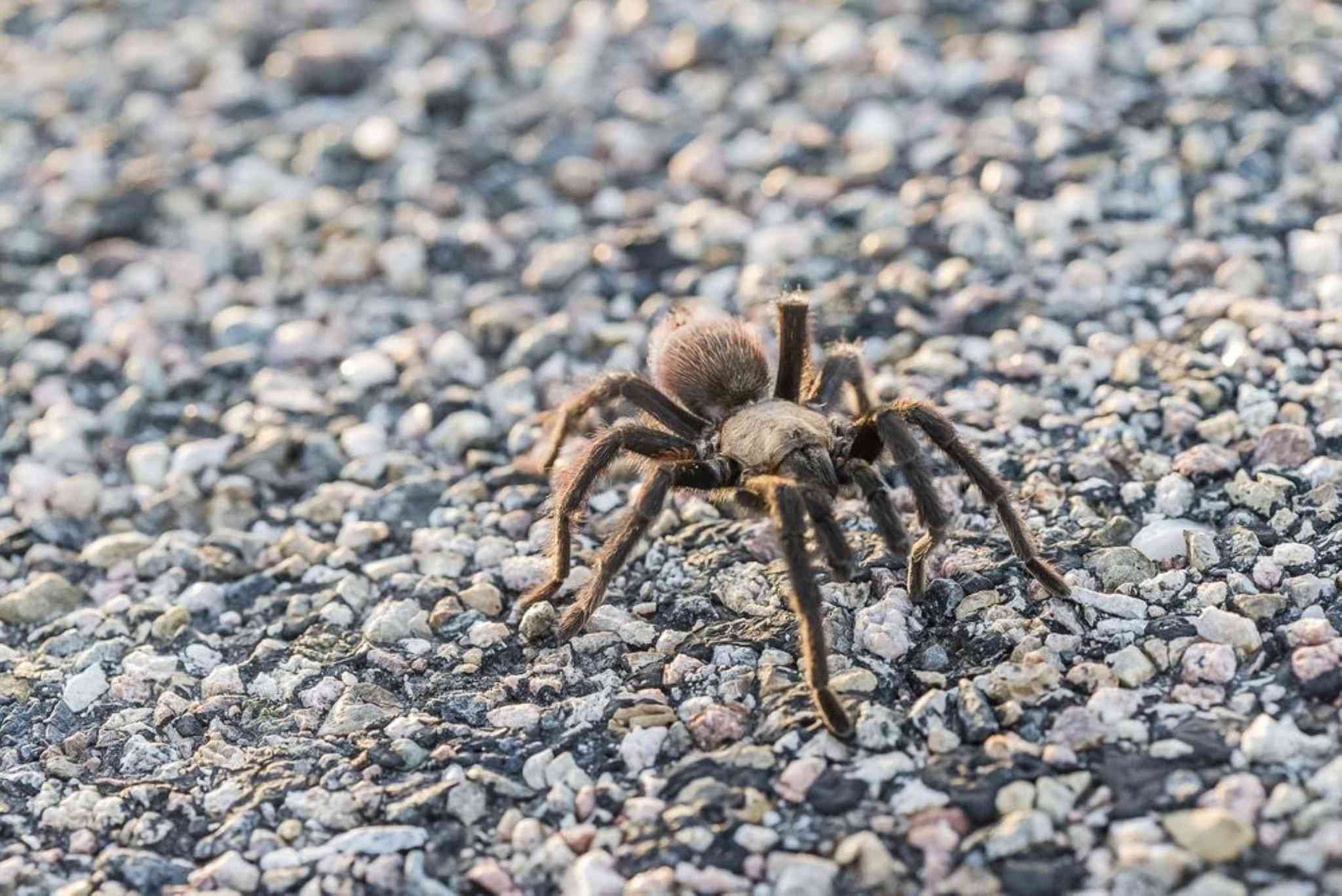 Holiday Inn Express La Junta i Junta, CO