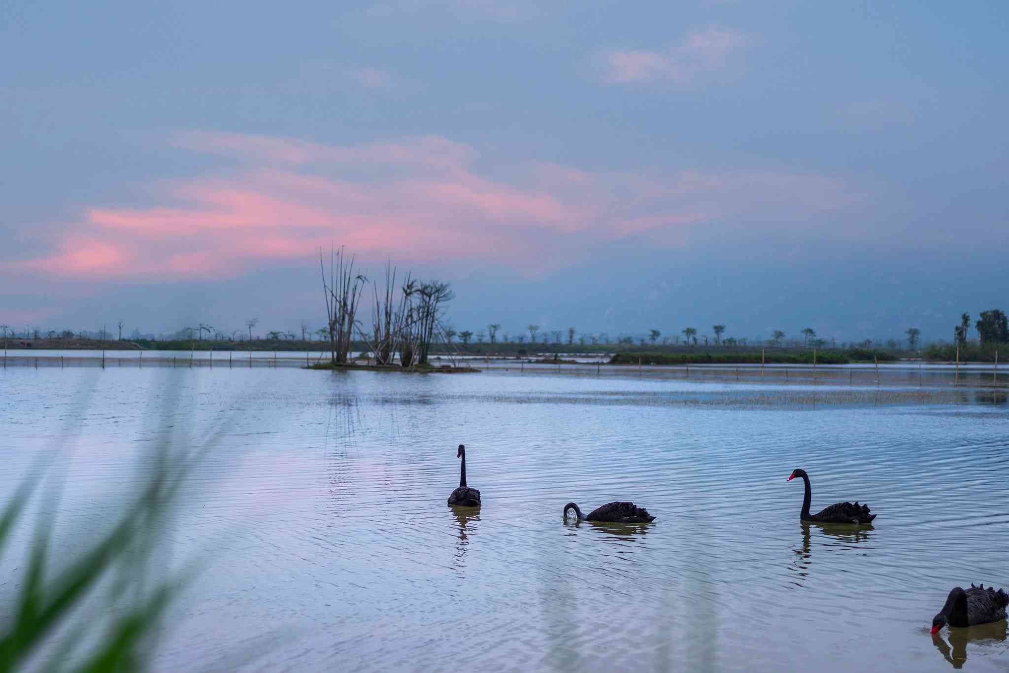 江門, CNにおけるHoliday Inn Express Jiangmen Xinhui 