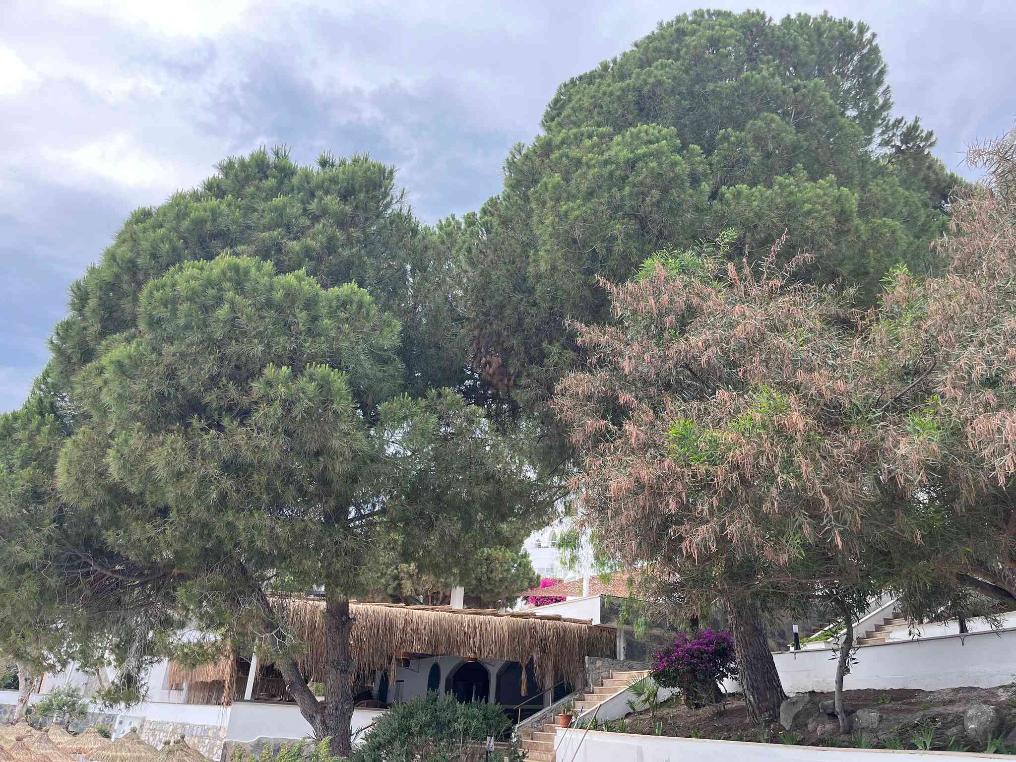 Holiday Inn Resort Bodrum à Mugla, TR