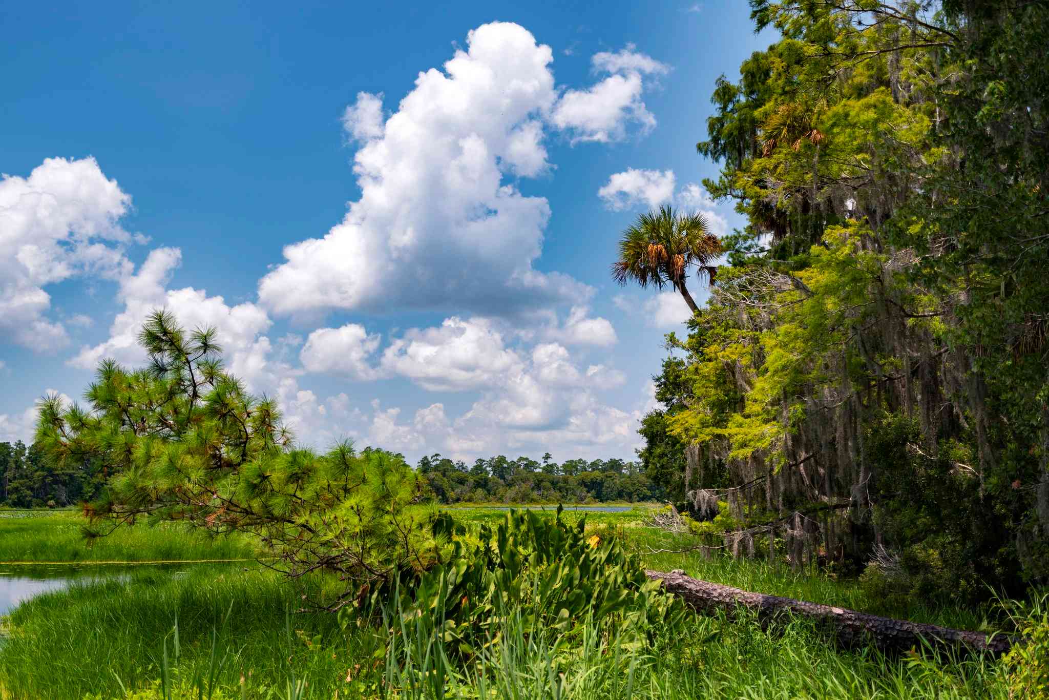 Holiday Inn Express Hotel & Suites Silver Springs-Ocala en Silver Springs, FL