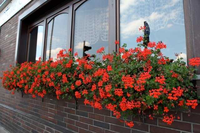 Oberhausen, DE의 Akzent Hotel Oberhausen