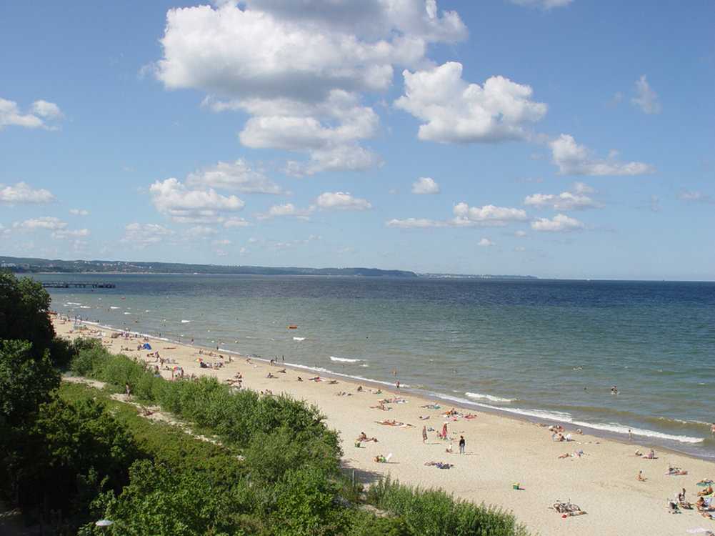 Gdansk, PL 的 Hotel Lival