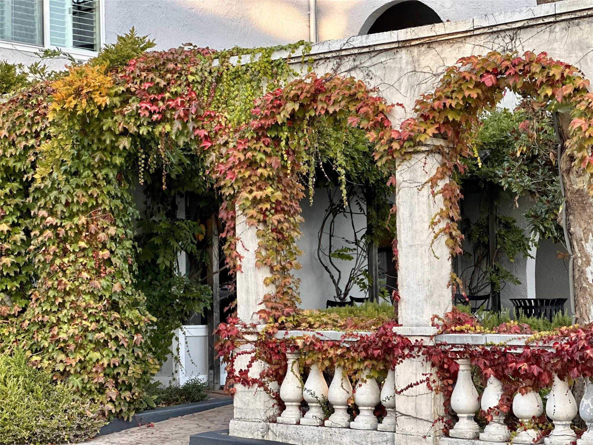 Dry Creek Inn MOD Collection by Sonesta, Healdsburg, CA