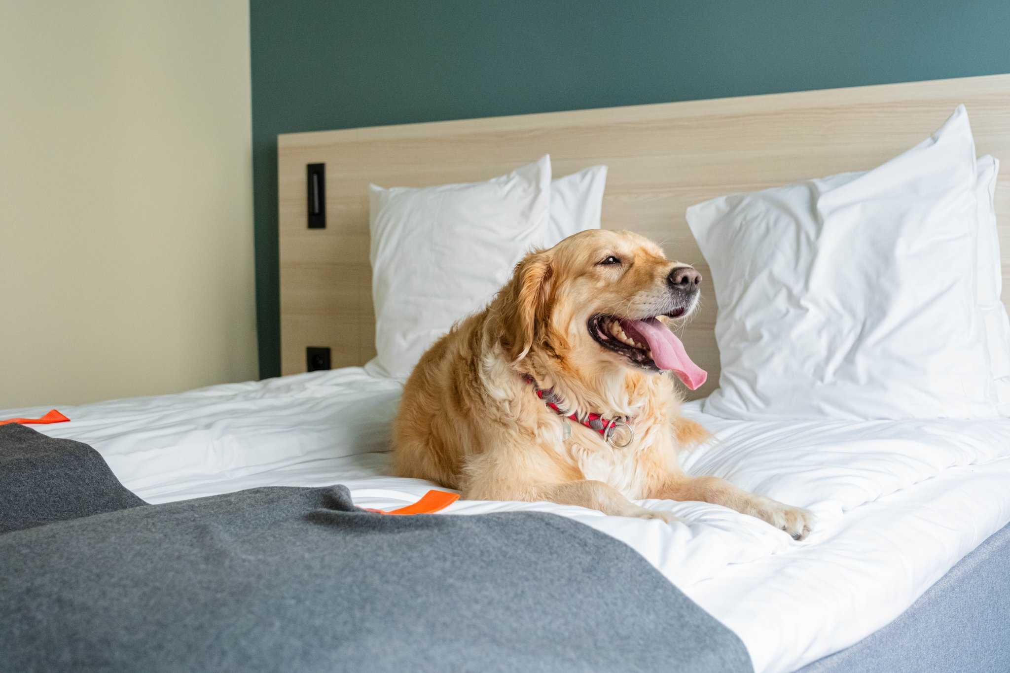 Citybox Hotels Brussels à Brussels, BE