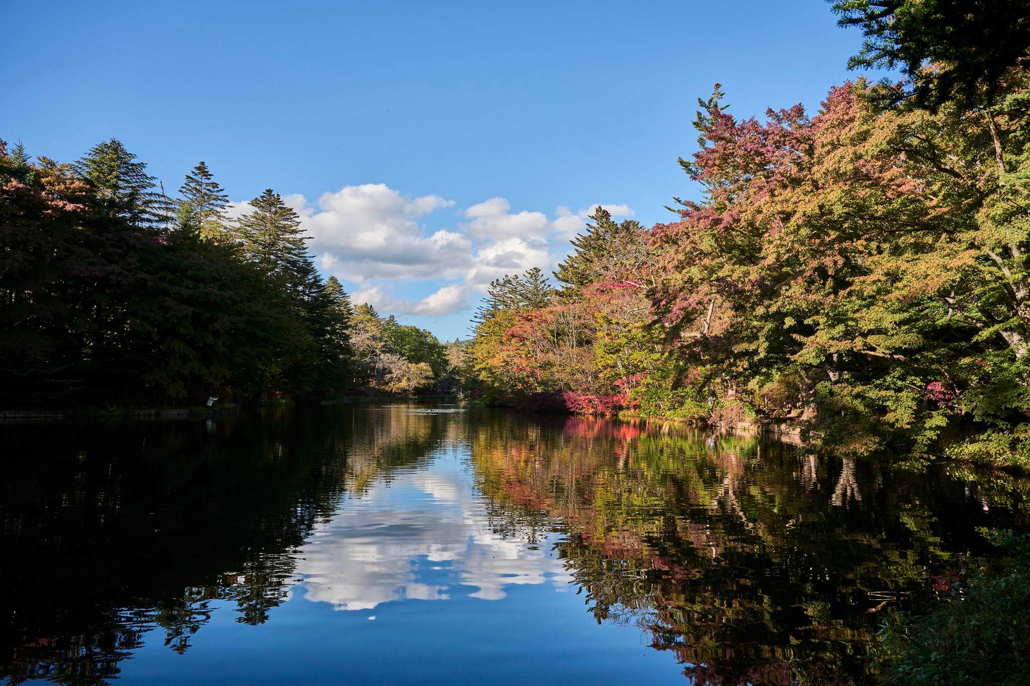 长野, JP 的 Hotel Indigo Karuizawa
