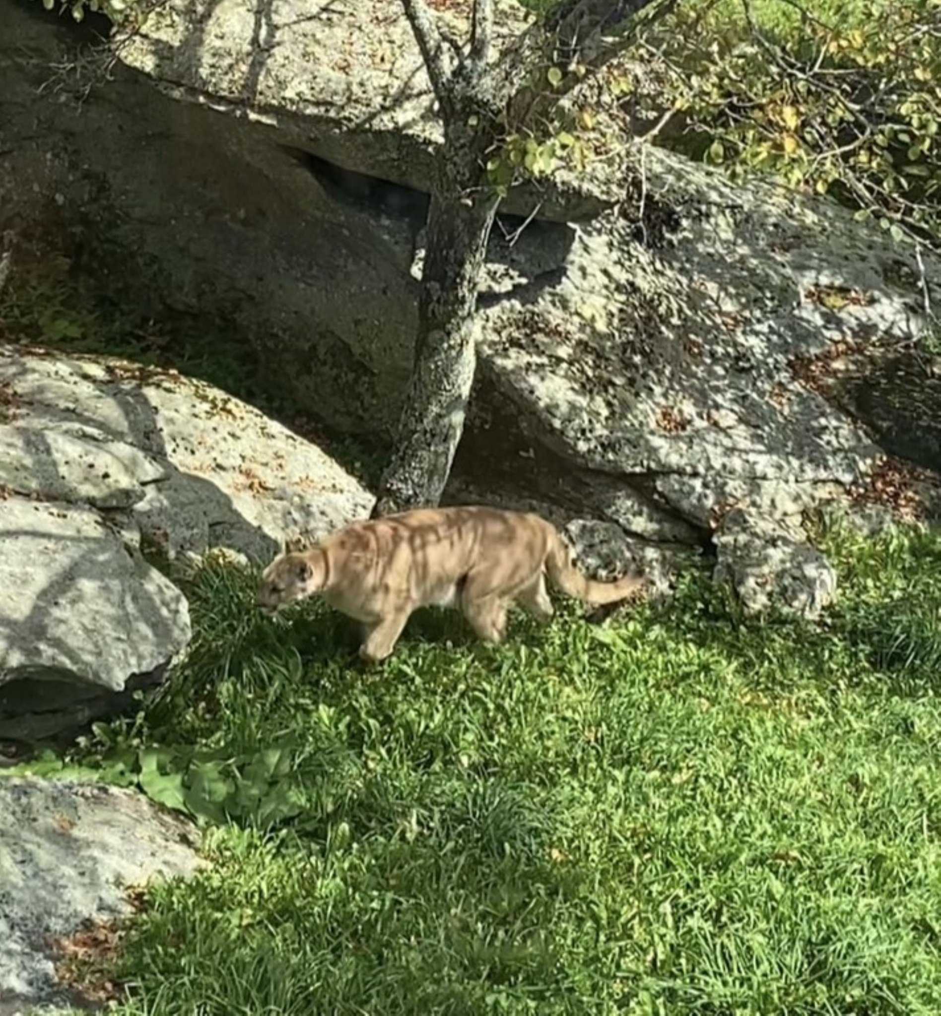 Holiday Inn Express Boone em Boone, NC
