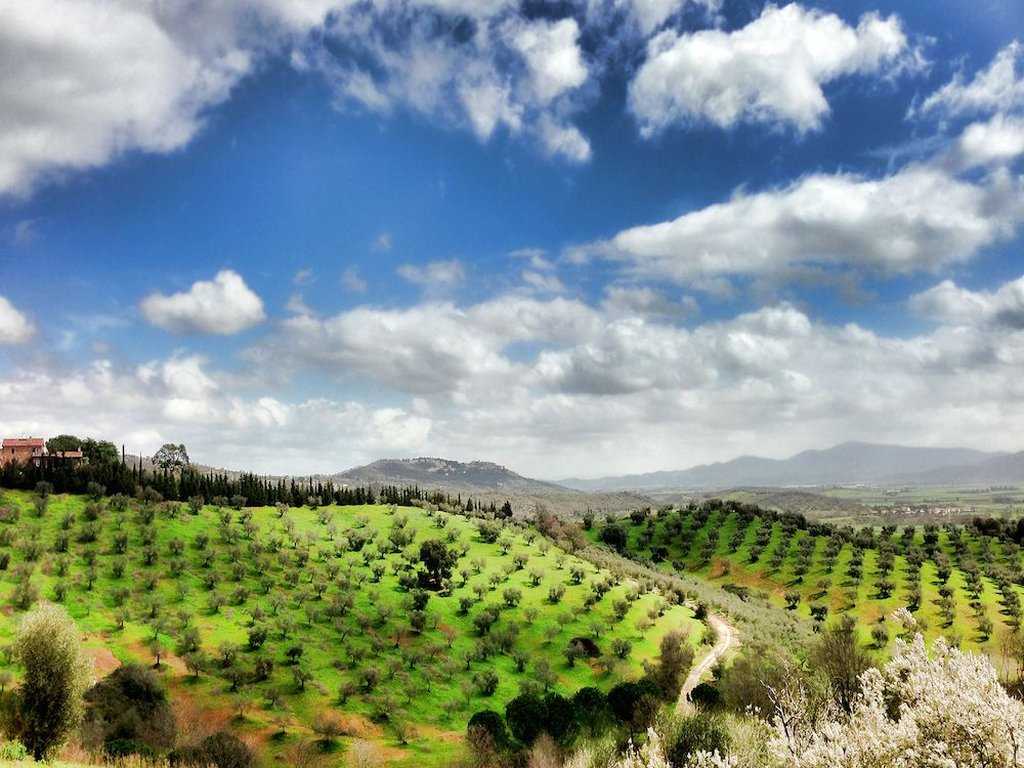 Montbelli Agriturismo and Country Hotel in Gavorrano, IT