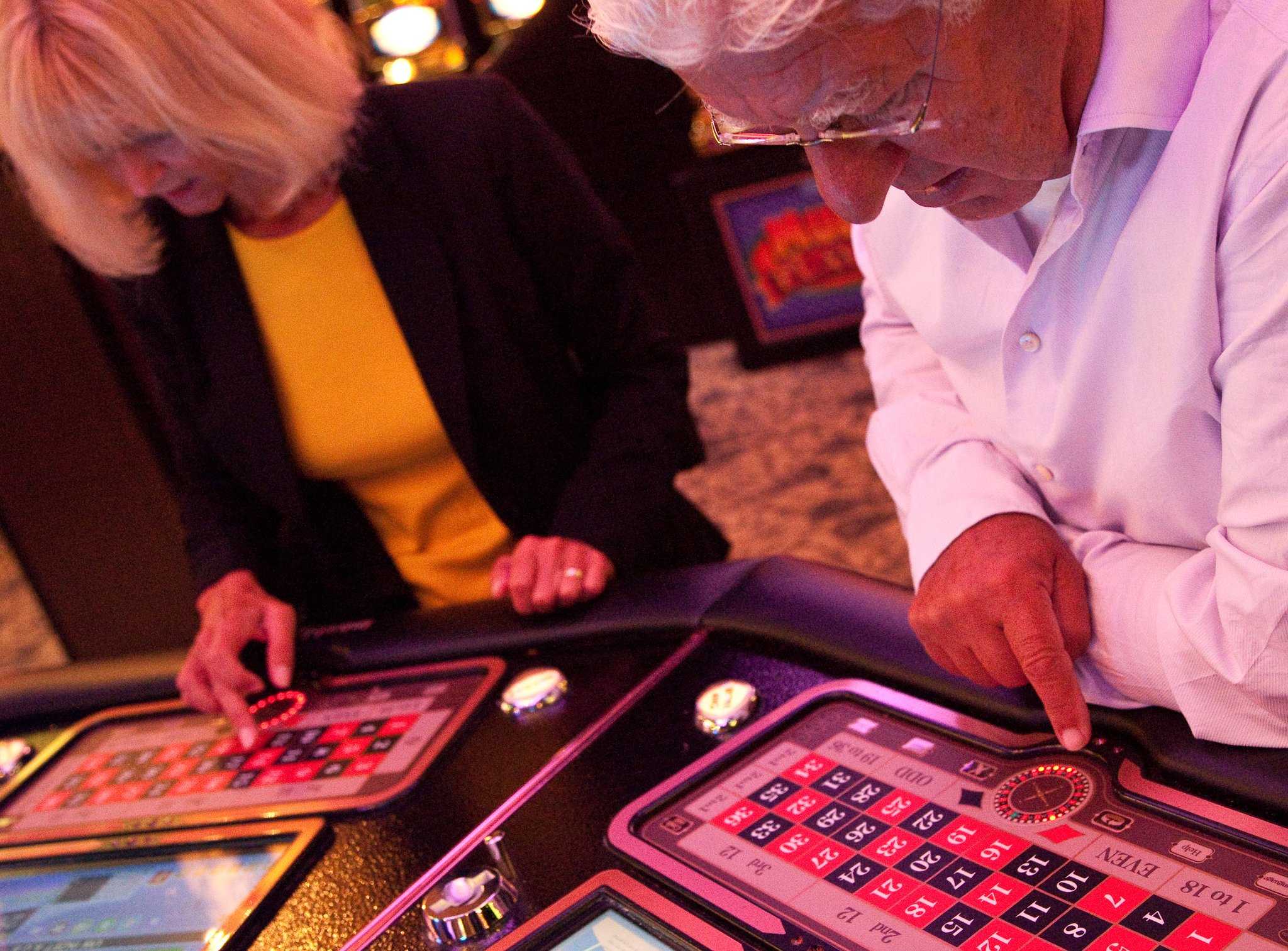 莱茵河畔阿尔芬, NL 的 Van der Valk Hotel Avifauna