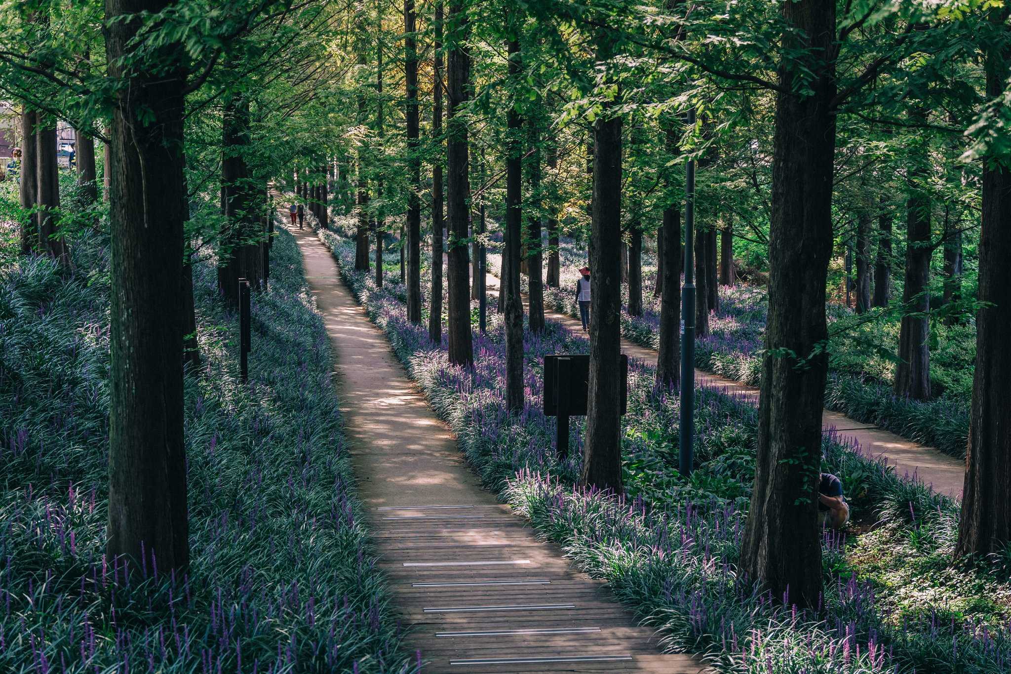 Holiday Inn Gwangju em Gwangju, KR