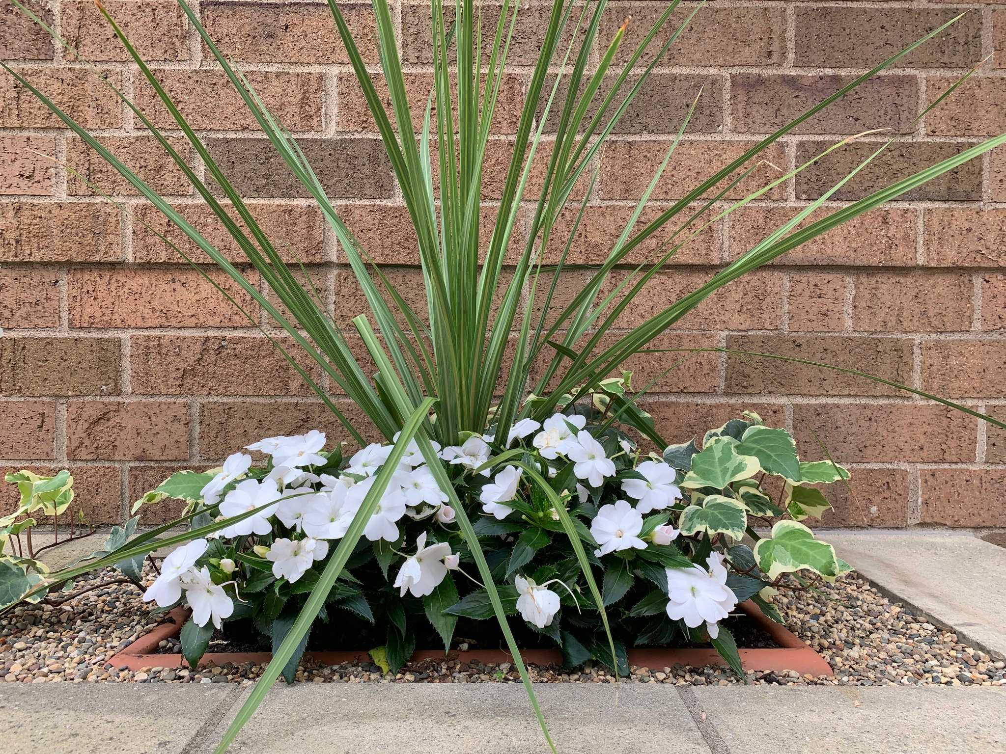 Holiday Inn Express & Suites Minneapolis-Dwtn (Conv Ctr) in มินนิอาโปลิส, MN