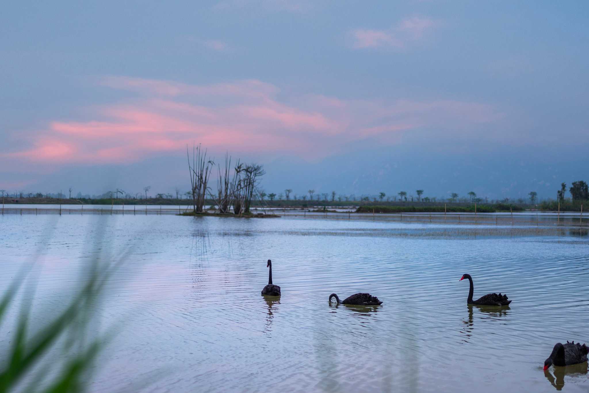 Holiday Inn Express Jiangmen Xinhui, Jiangmen, CN