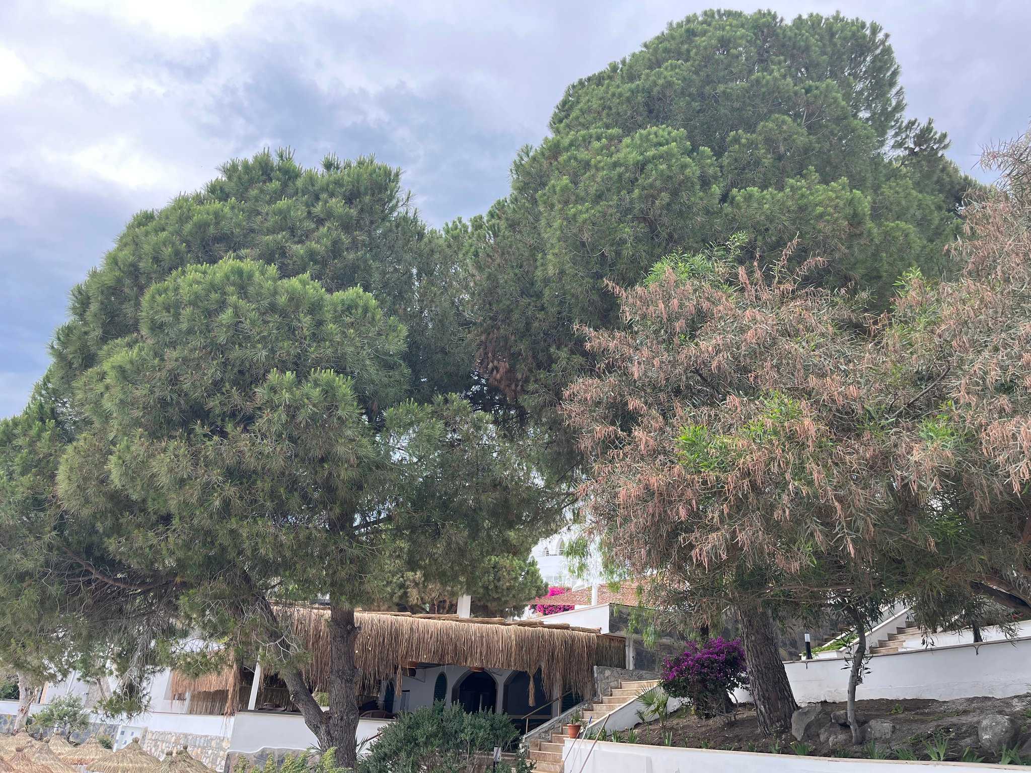 Holiday Inn Resort Bodrum à Mugla, TR