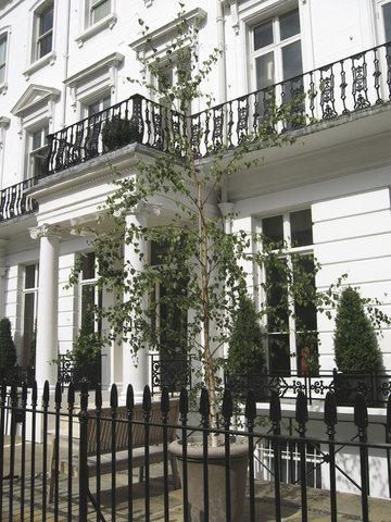 Number Sixteen в London, GB1
