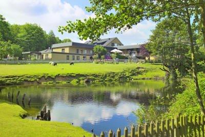 Conference Partner Hotel Toewerland image