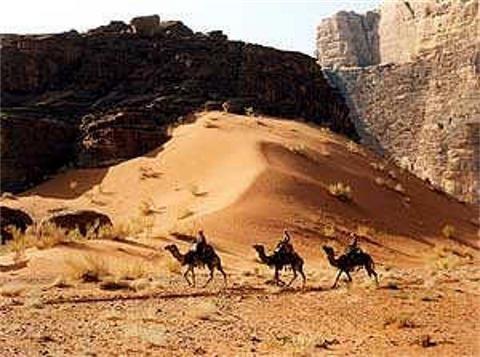 Golden Tulip Aqaba в Aqaba, JO