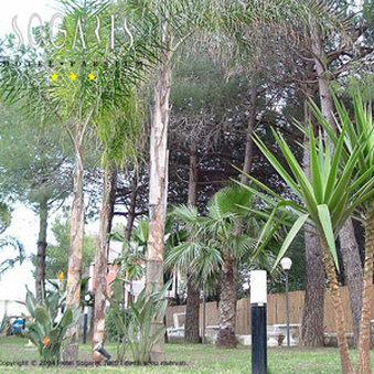 Hotel Sogaris i Capaccio-Paestum, IT