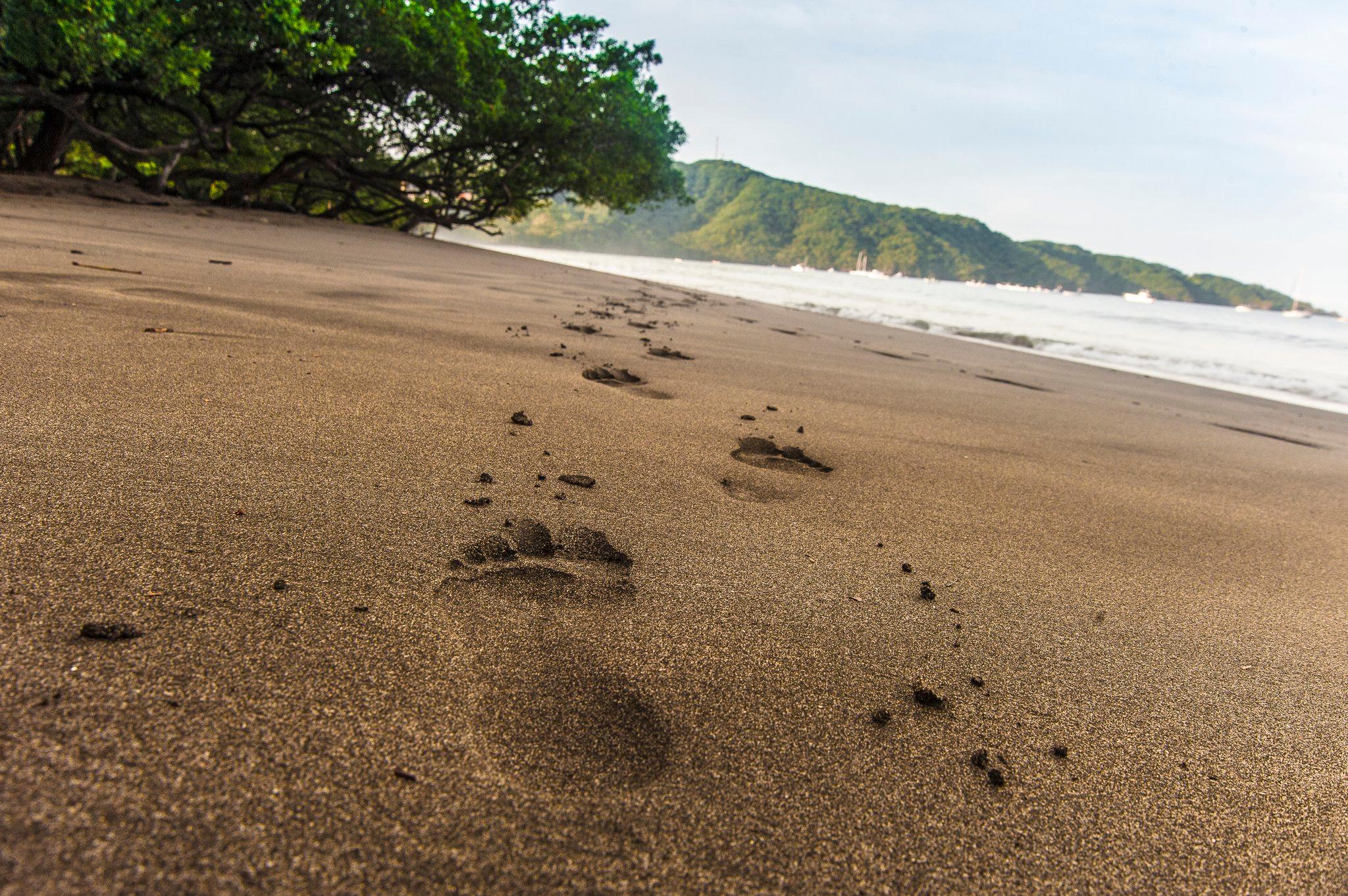 Villas Sol Hotel & Beach Resort image