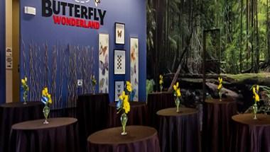 Butterfly Wonderland in Scottsdale, AZ