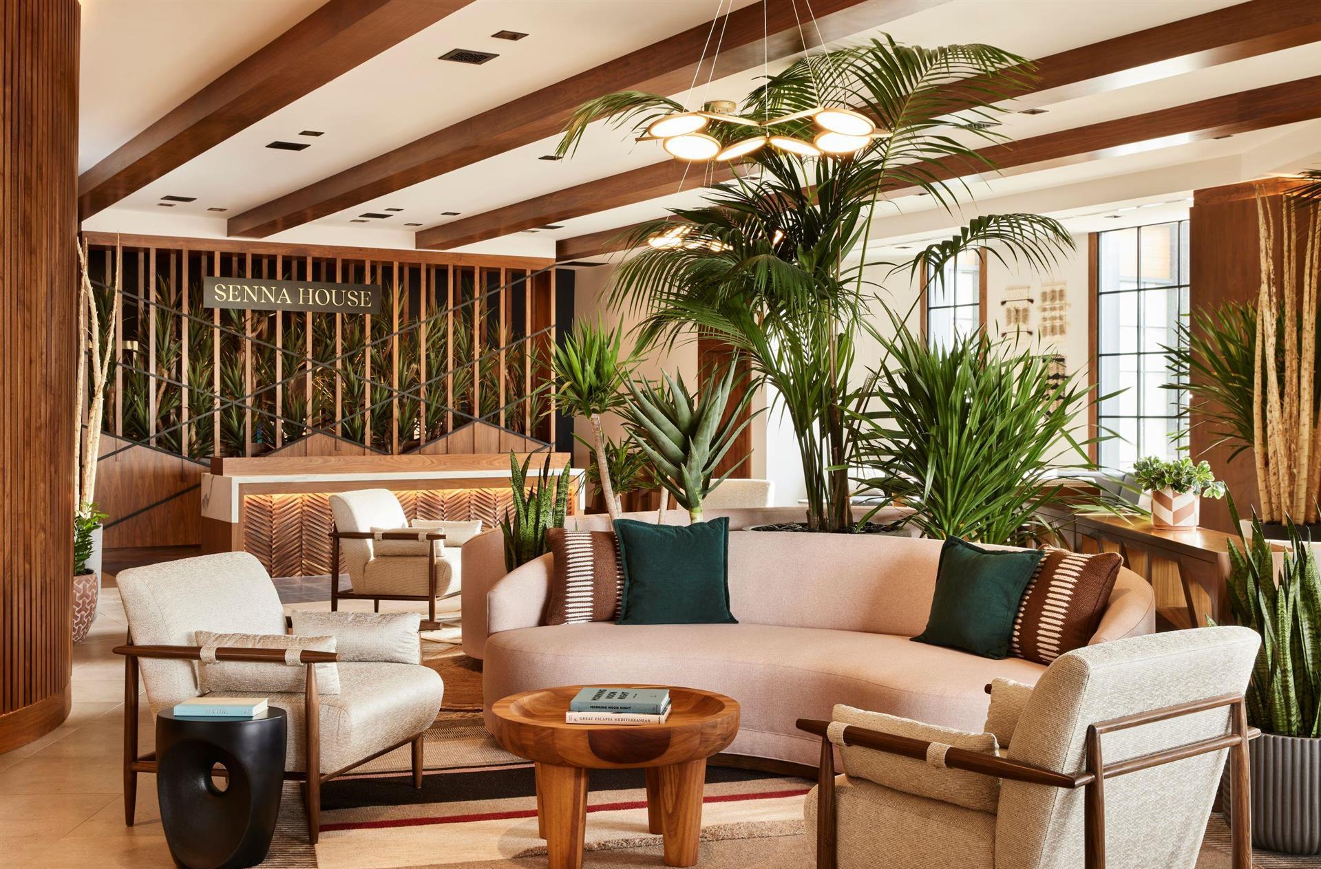 Senna House Hotel Scottsdale, Curio Collection by Hilton in Scottsdale, AZ