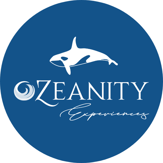 Ozeanity Experiences