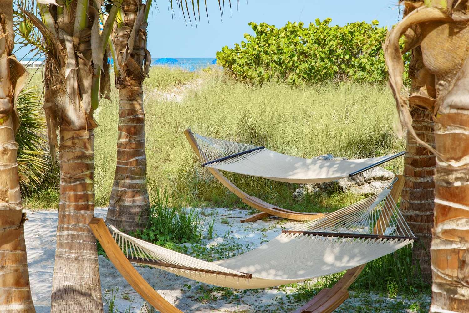 Hilton Garden Inn St. Pete Beach image