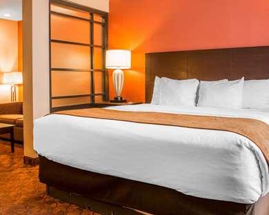 Comfort Inn And Suites And Conference Center in Mt. Pleasant, MI