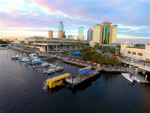 Visit Tampa Bay in Tampa, FL