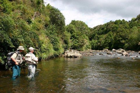 Turangi, NZにおけるParklands Motor Lodge 