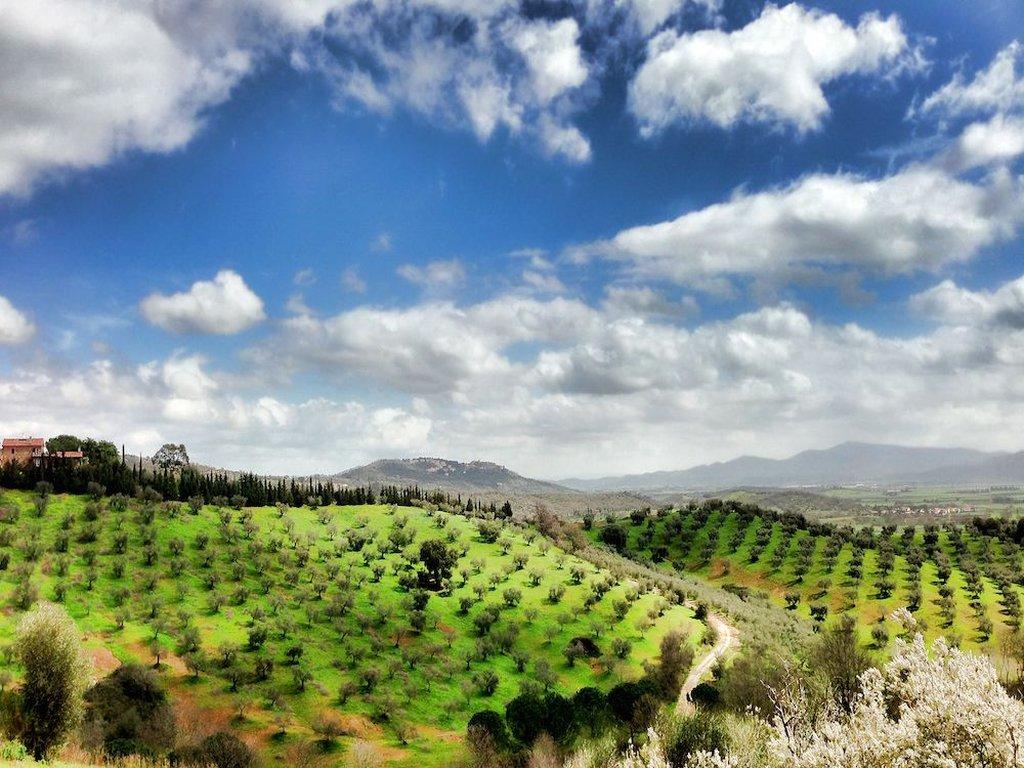 Montbelli Agriturismo and Country Hotel ใน Gavorrano, IT