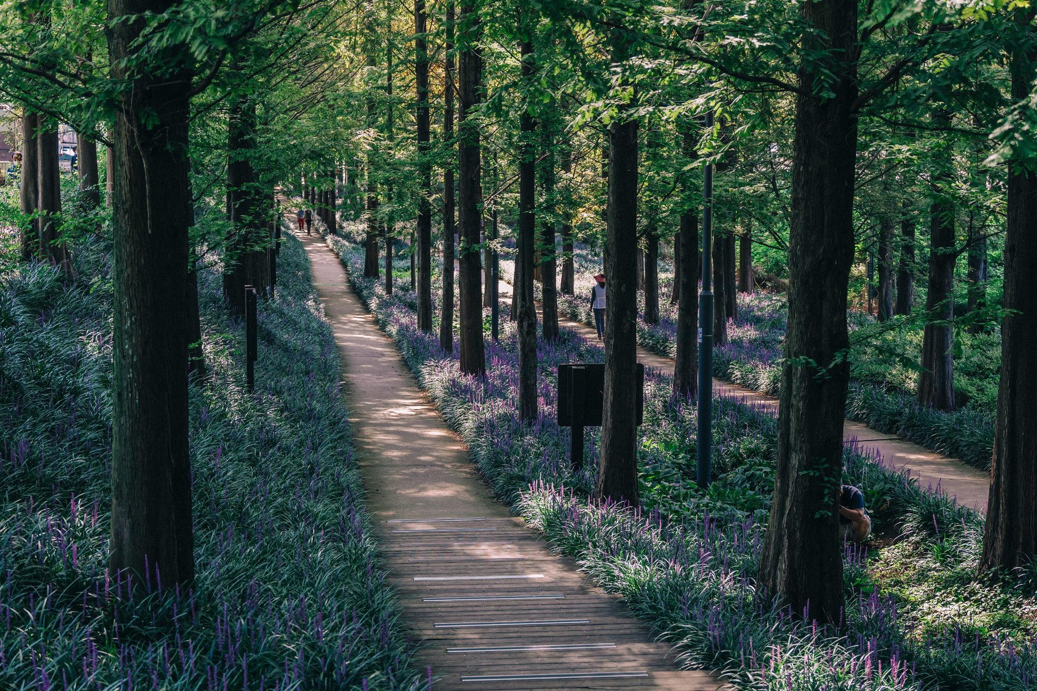 Holiday Inn Gwangju image