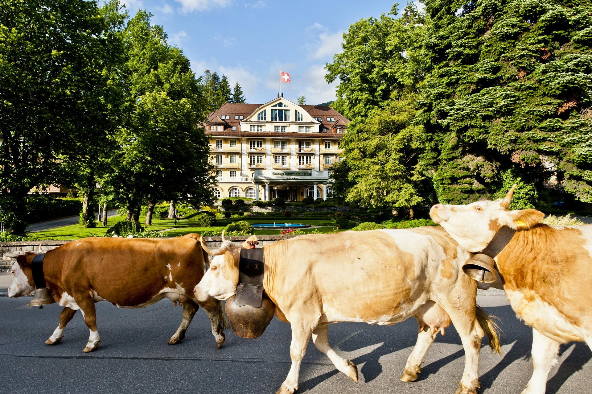 Le Grand Bellevue, Saanen, CH