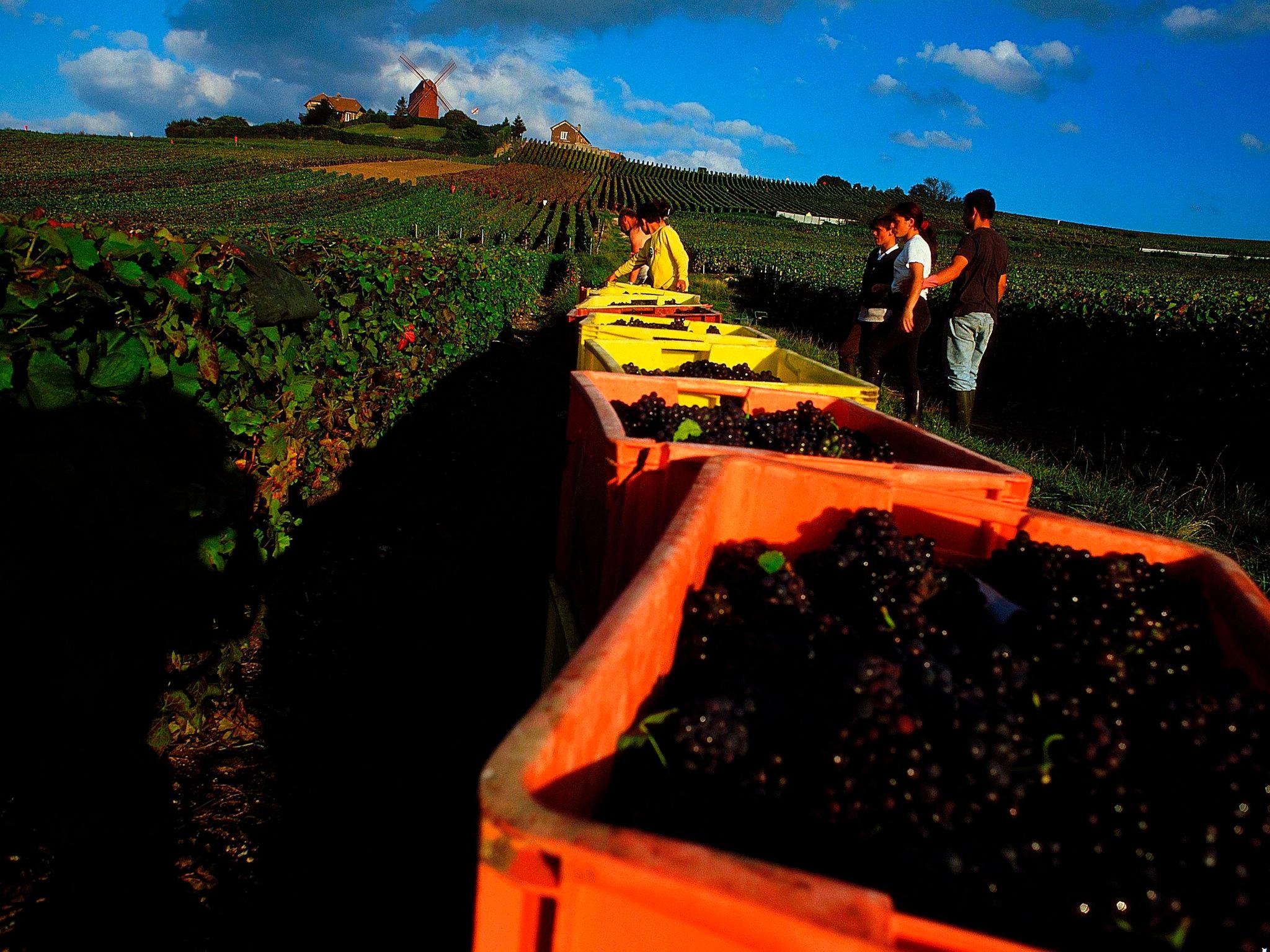 Novotel Reims Tinqueux image