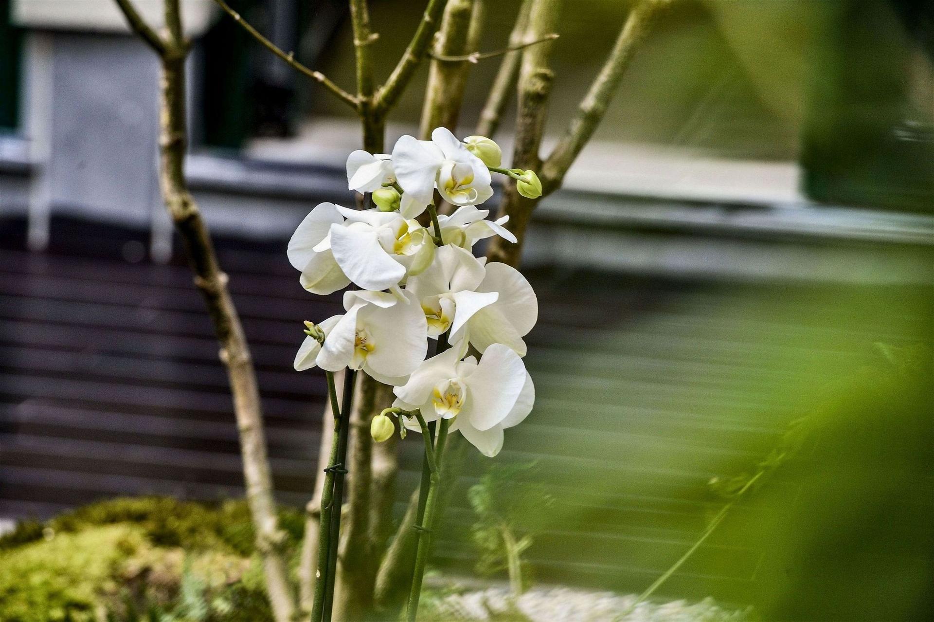 Yadoya Hotel Brussels в Bruxelles, BE