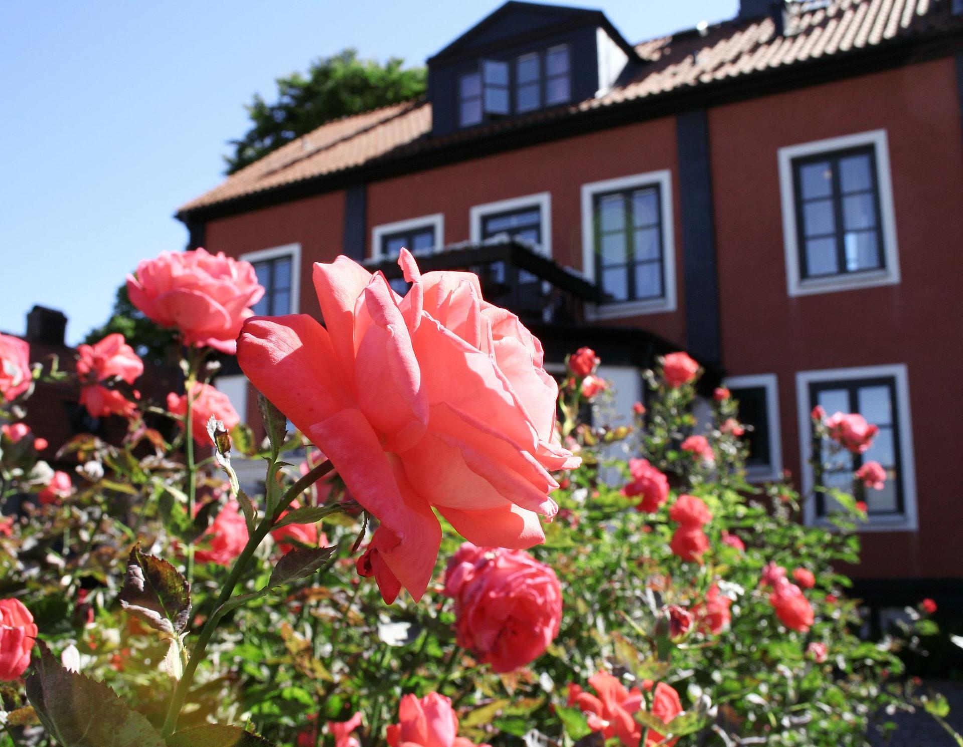 Kalmar, SE 的 Hotel Slottshotellet