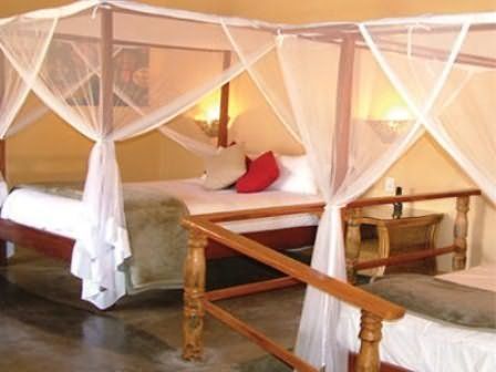 Изображение места проведения