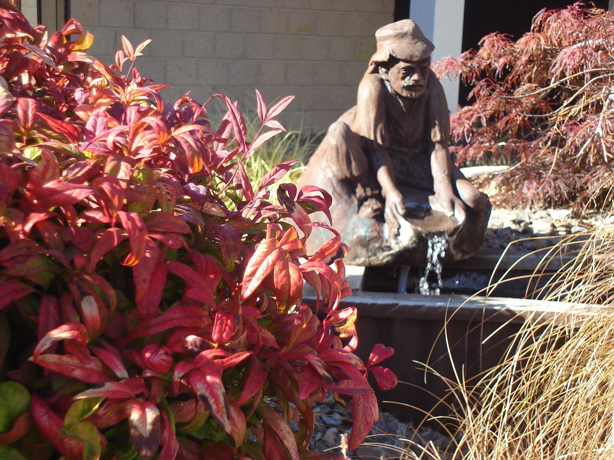 Изображение места проведения