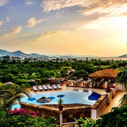 Изображение места проведения