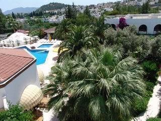 Изображение места проведения