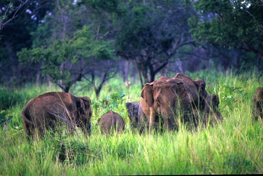 รูปสถานที่จัดงาน