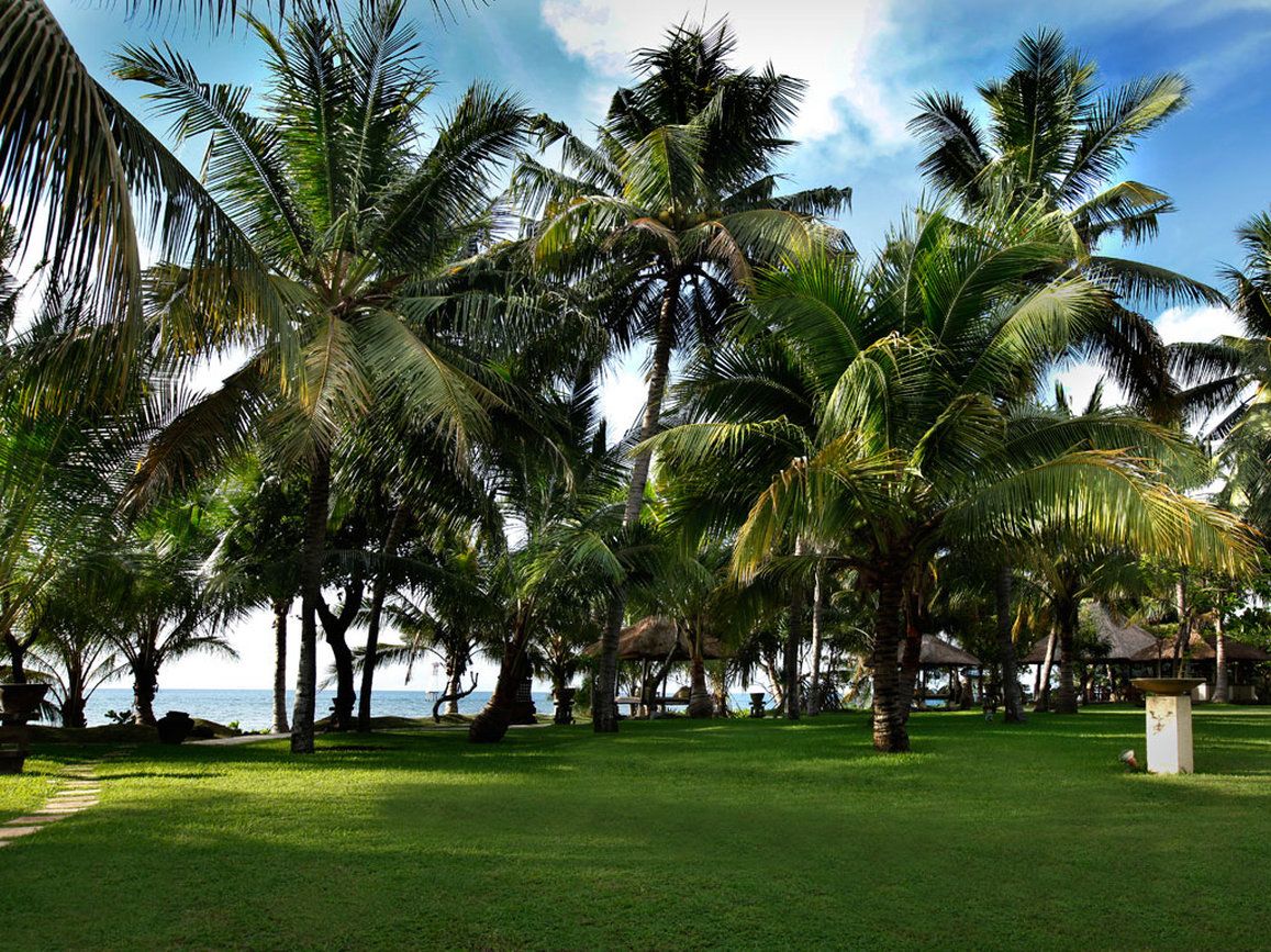 Изображение места проведения