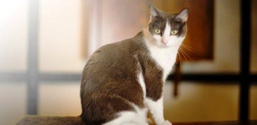 รูปสถานที่จัดงาน