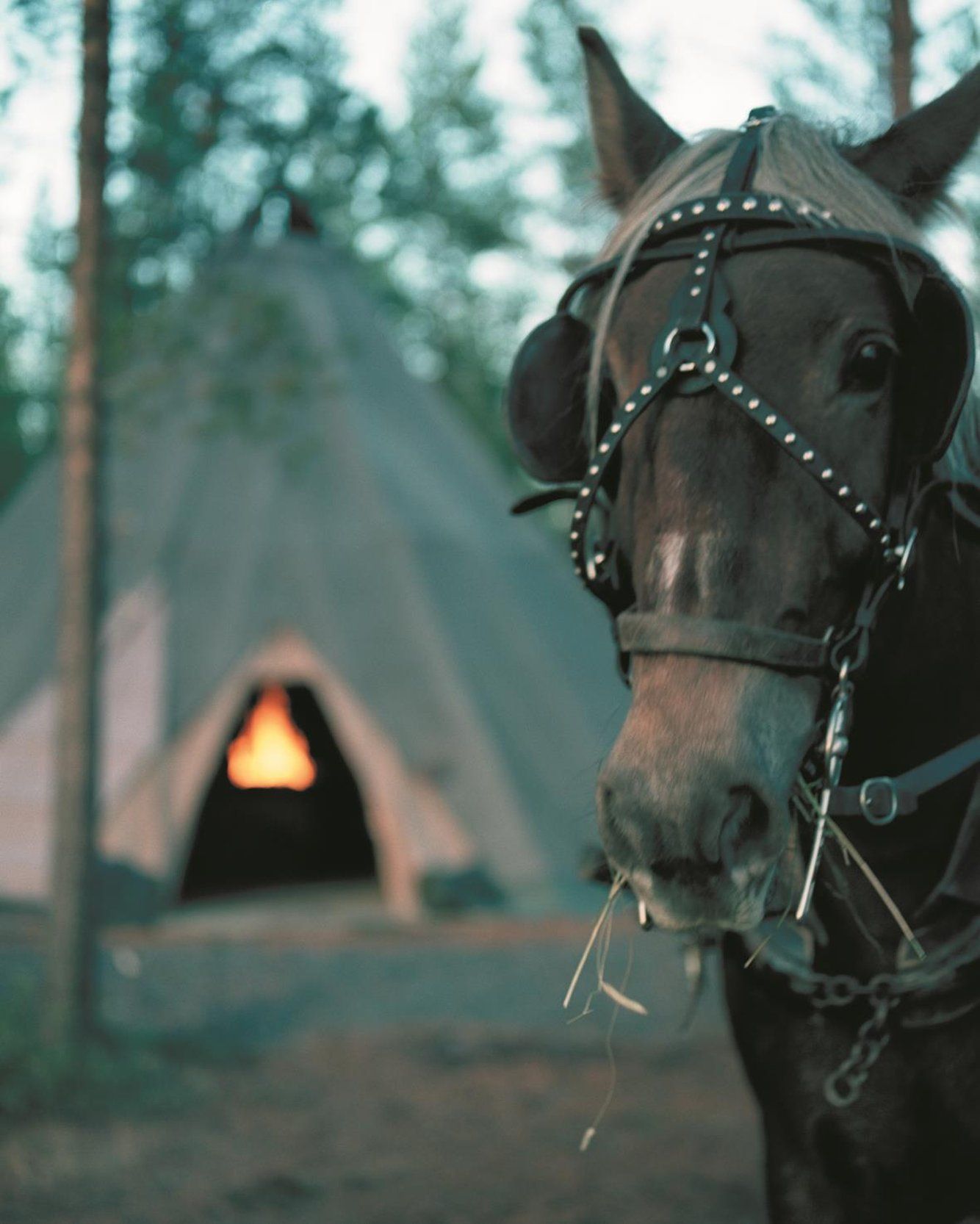 Bild des Veranstaltungsortes