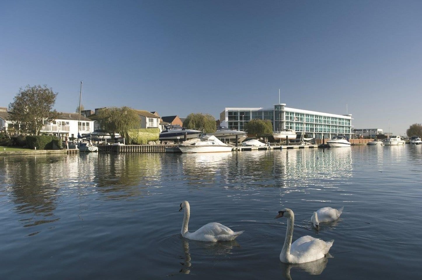 Venue image