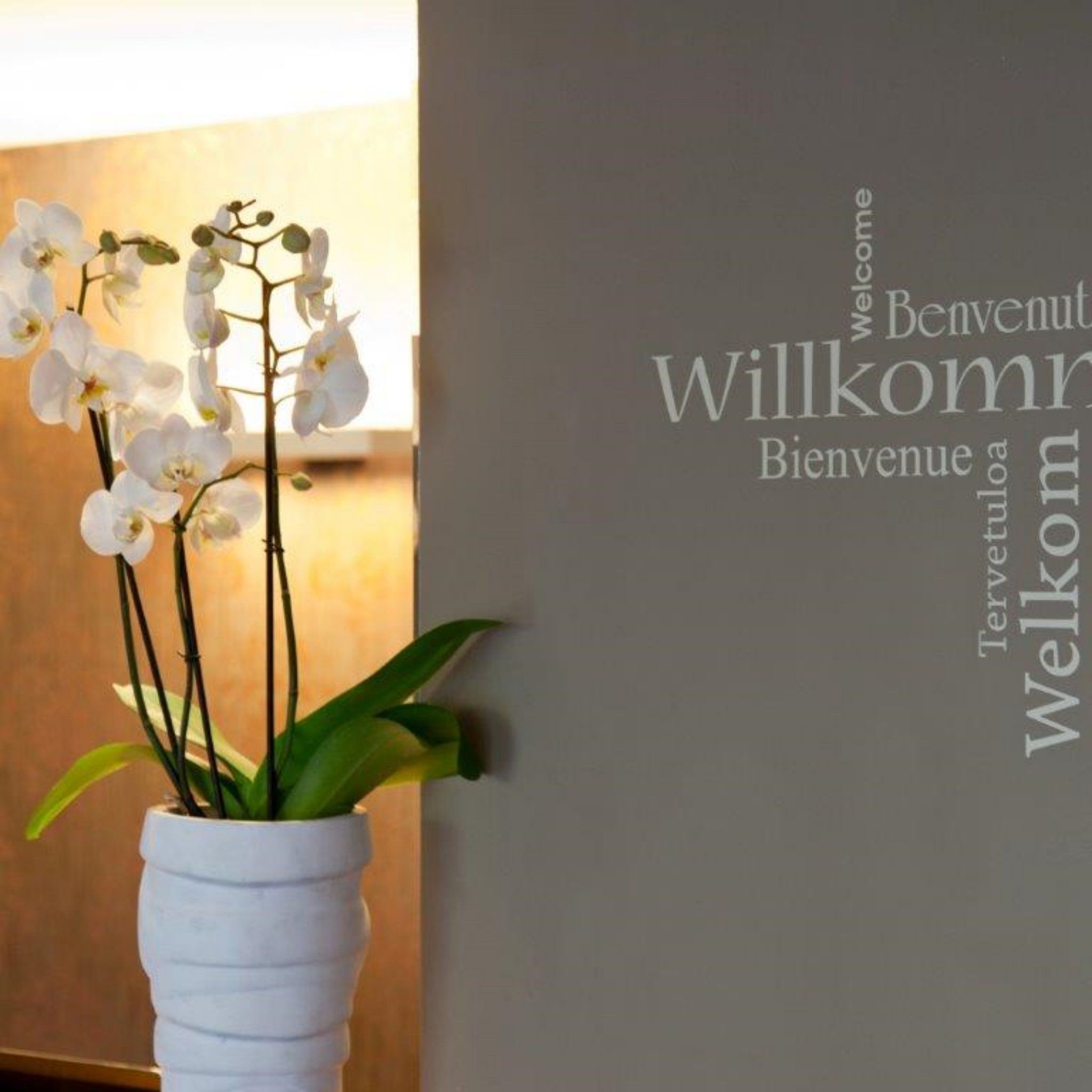 Изображение места проведения