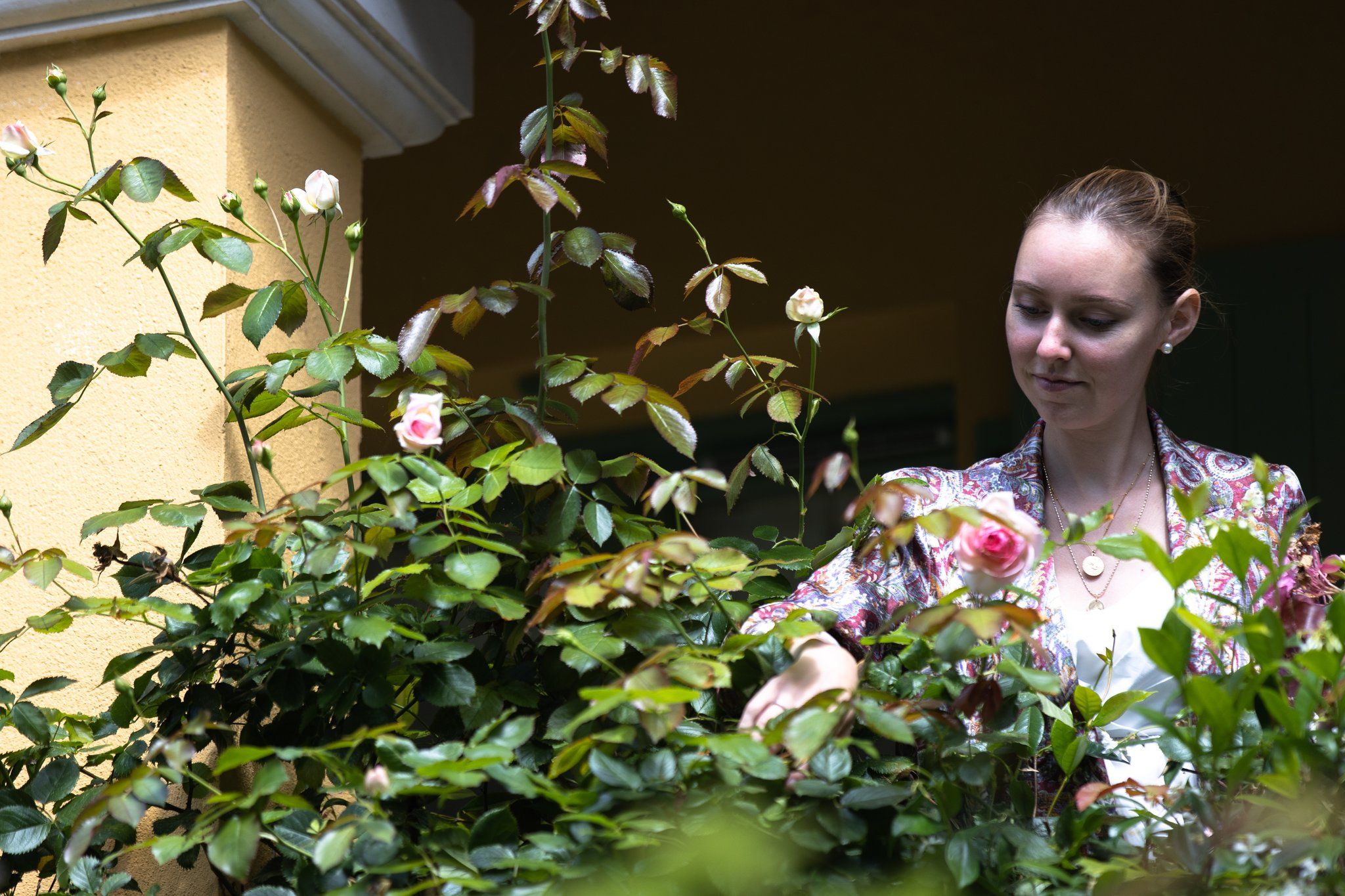 Изображение места проведения