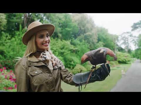 Изображение места проведения